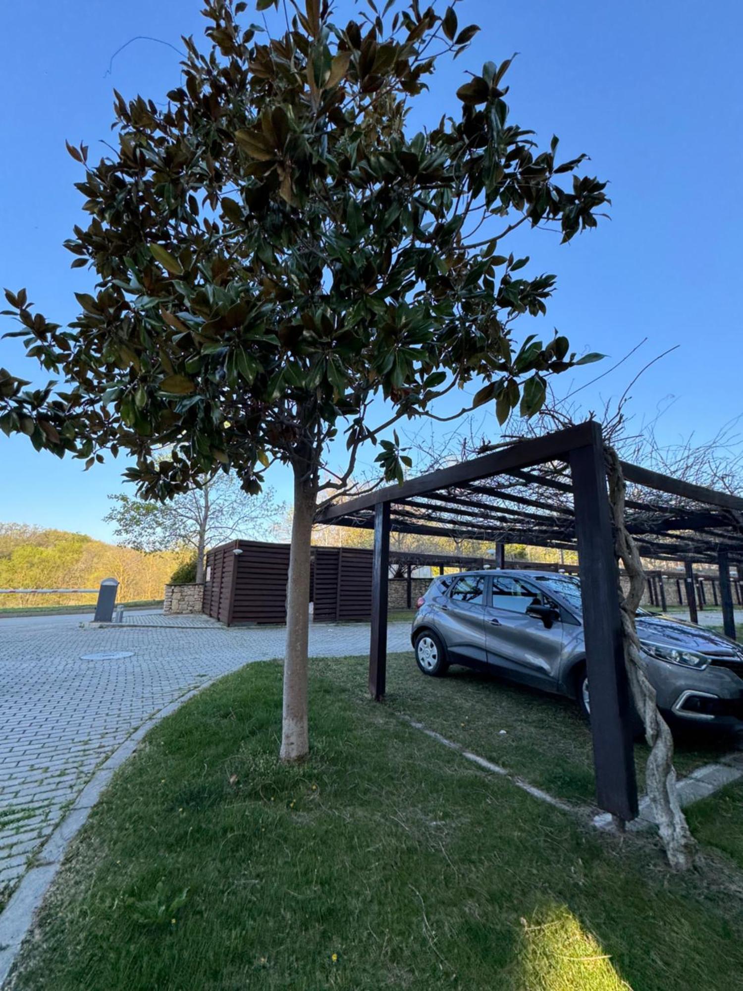 Apartament Sea View Penthouse Obzor Zewnętrze zdjęcie